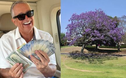 Ricardo Salinas regalará 50 mil pesos a la mejor foto de una jacaranda, requisitos y pasos a seguir