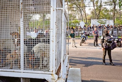 Indignación en CDMX: Confirman maltrato y rescatan animales del Refugio Franciscano de  Cuajimalpa