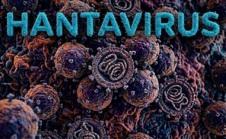¡Cuidado! Estas son las maneras en las que te podrías contagiar de hantavirus
