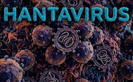 ¡Cuidado! Estas son las maneras en las que te podrías contagiar de hantavirus