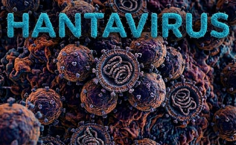 ¡Cuidado! Estas son las maneras en las que te podrías contagiar de hantavirus