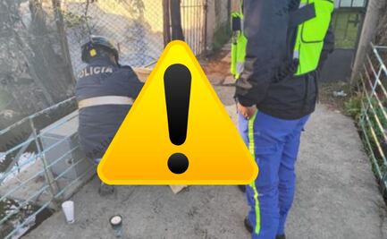 Exconvicto asesina a su pareja en Xochimilco: Víctima escondía los golpes de Erik