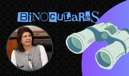 Acusan a senadora de Morena de sacrificar 10 mil perros y gatos en Tecámac