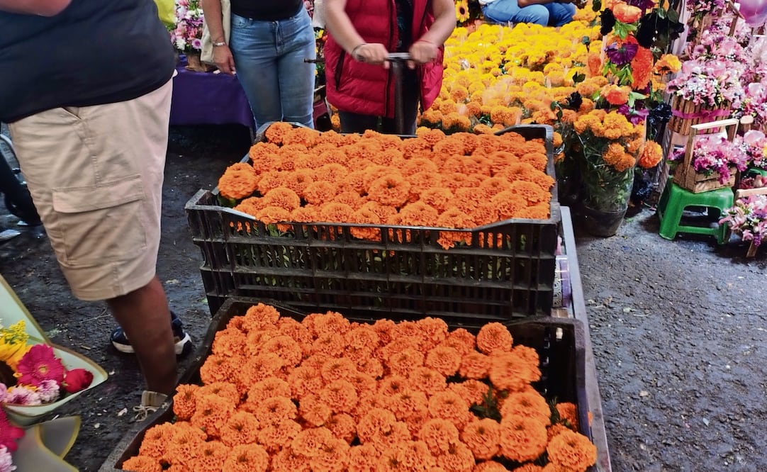 Este año, se habilitarán puntos de venta directa para que capitalinos puedan adquirir flores en mercados de plantas. Foto: Arantxa Meave / EL GRÁFICO