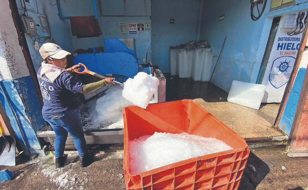 Alerta por escasez de hielo en la CDMX debido a las altas temperaturas