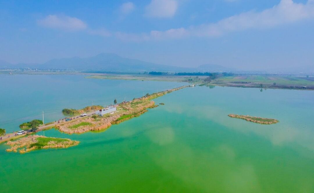 Decretan Laguna de Xico como área natural protegida, estas son las razones