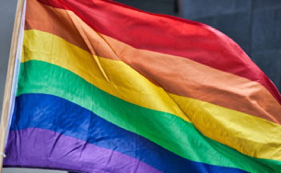 Orgullo LGBT. Foto: Imagen: Facebook