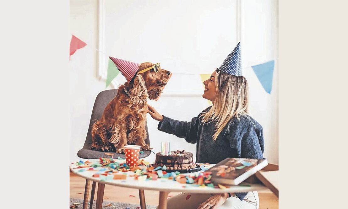 La ciencia detrás del amor perruno: ¿Por qué los perros están más conectados con los humanos?