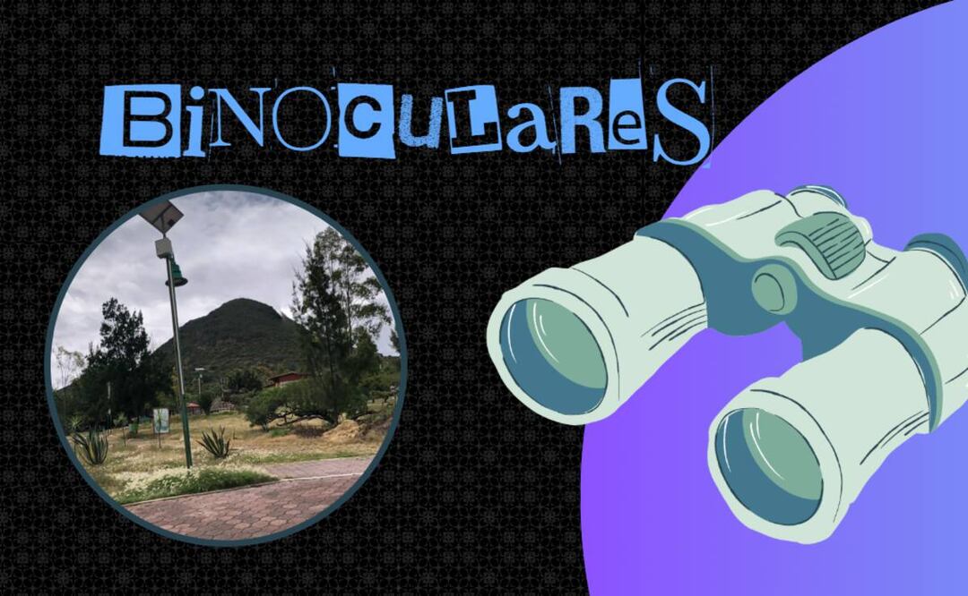 Antílopes y avestruces desaparecen en Ecatepec, autoridades locales no saben qué pasó