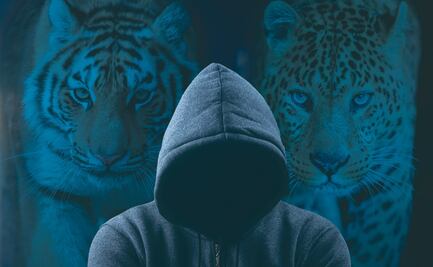 ¿Por qué los narcos coleccionan felinos exóticos?