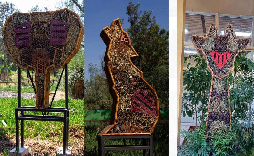 ¡Para salvar el planeta! En CDMX crean hoteles para insectos 
