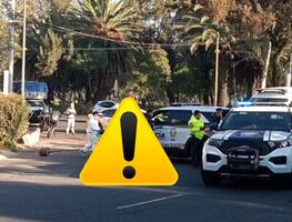 Muere trabajador del Zoológico de Aragón atropellado a unos pasos de llegar a su trabajo