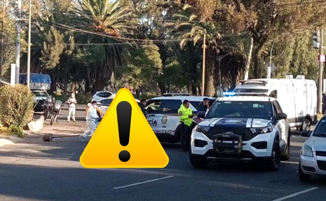 Foto: Francisco Rodríguez (Muere trabajador del Zoológico de Aragón atropellado a unos pasos de llegar a su trabajo)