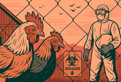 Detectan influenza aviar en criaderos de Nezahualcóyotl