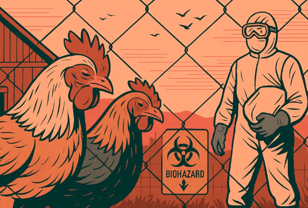 Gripe aviar en Neza (Foto: Creada con IA)