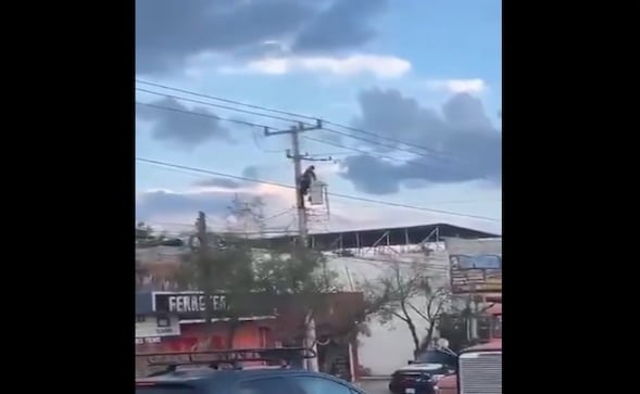 Video: Lacra intenta huír de policía al escalar un poste de luz, se electrocuta, muere y cae sobre patrulla