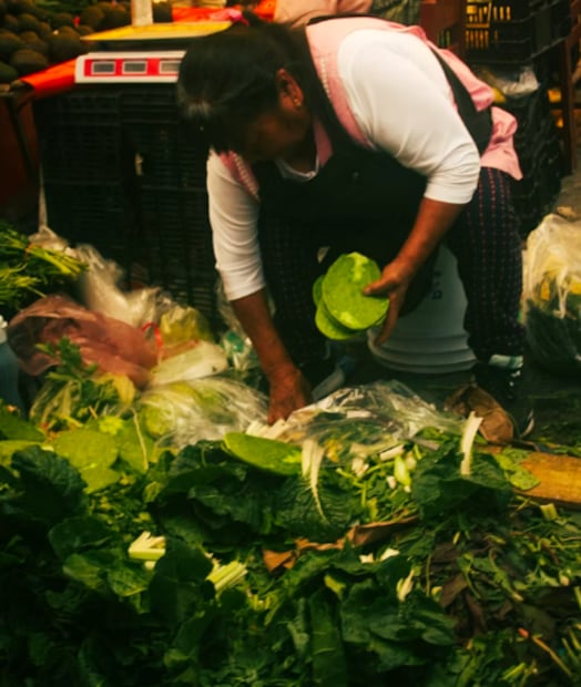 Comercio de nopal en México (Foto: Unsplash)