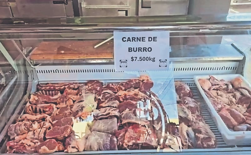 Crisis en Argentina: Cae consumo de carne vacuna y crece la venta de carne de burro y caballo
