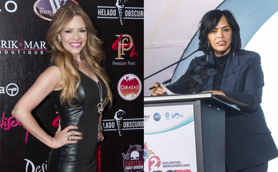 Foto: Cuartoscuro (Lilí Brillanti demanda a Anabel Hernández: Esto se conoce del caso)