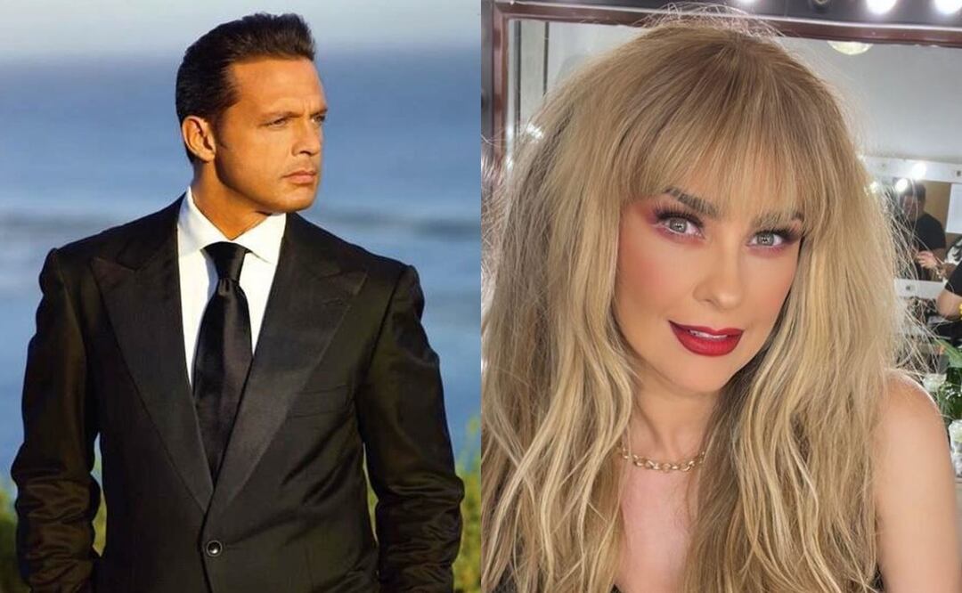 ¡Hartos de agarrarse del chongo! Aracely Arámbula y Luis Miguel llegan a un acuerdo