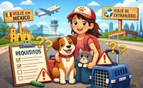 ¿Viajarás con tu mascota en Semana Santa? Estos documentos son obligatorios para evitar problemas