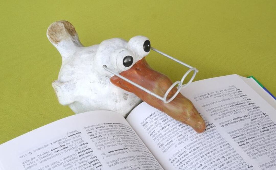 “Pistear”, entre las palabras que más buscaron los mexicanos en 2023