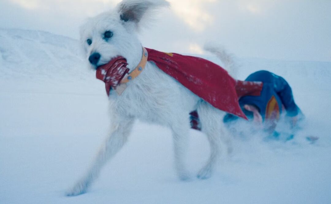 Krypto se roba los corazones en el primer avance de Superman Legacy
