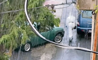 ¡Viaje final! Ejecutan a conductor de un taxi ‘pirata’ en la GAM