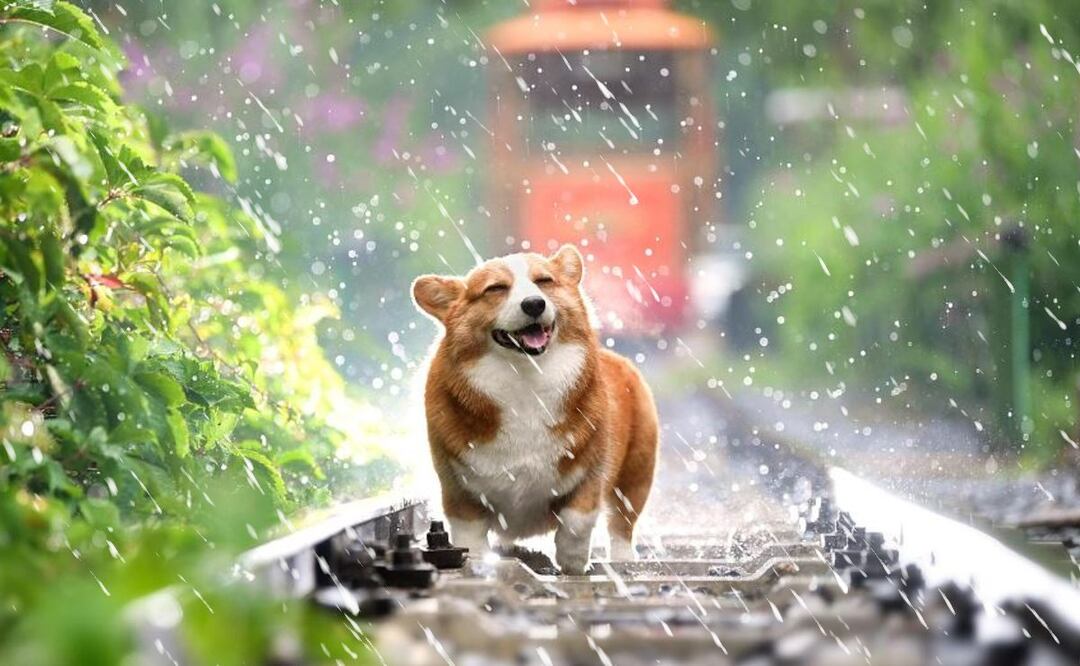 ¿Se puede provocar artificialmente la lluvia? Esto dicen los expertos