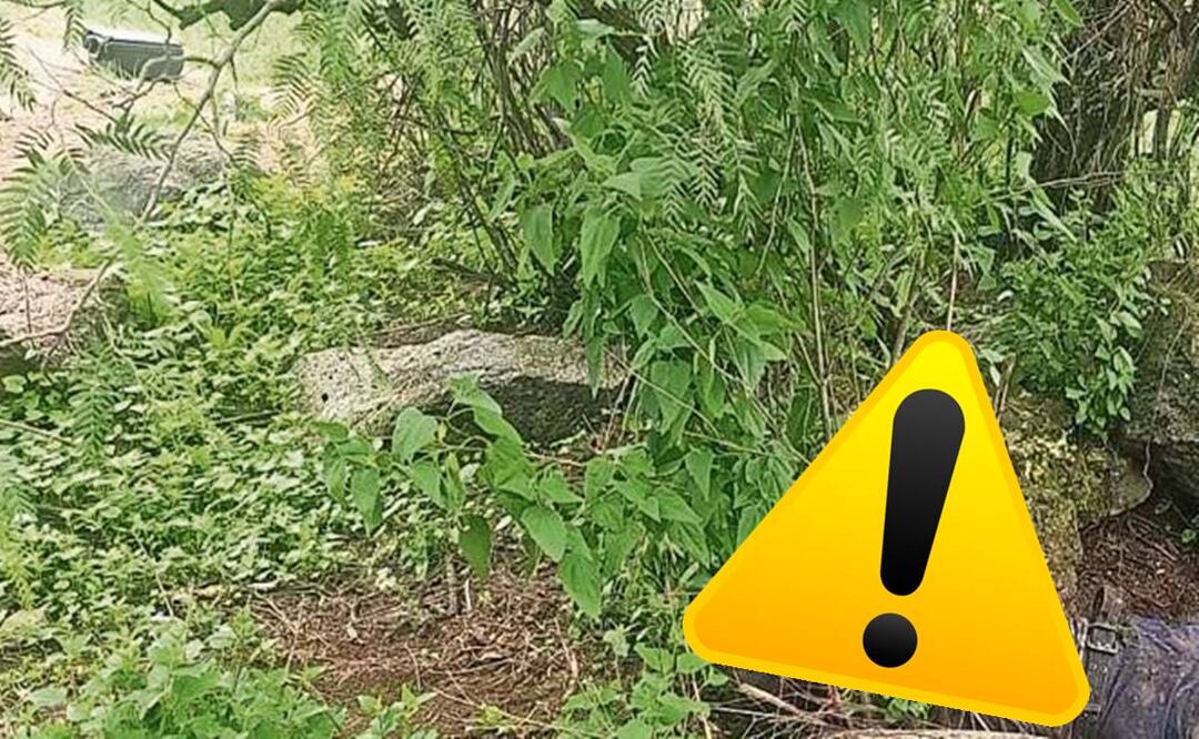 Hallan a un indigente podrido y mordisqueado por animales, en Tecámac