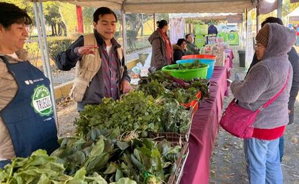 Mega Jornada de Reciclaje: ¿Cómo participar en el Mercado de Trueque en CU?