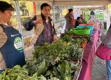 Mega Jornada de Reciclaje: ¿Cómo participar en el Mercado de Trueque en CU?