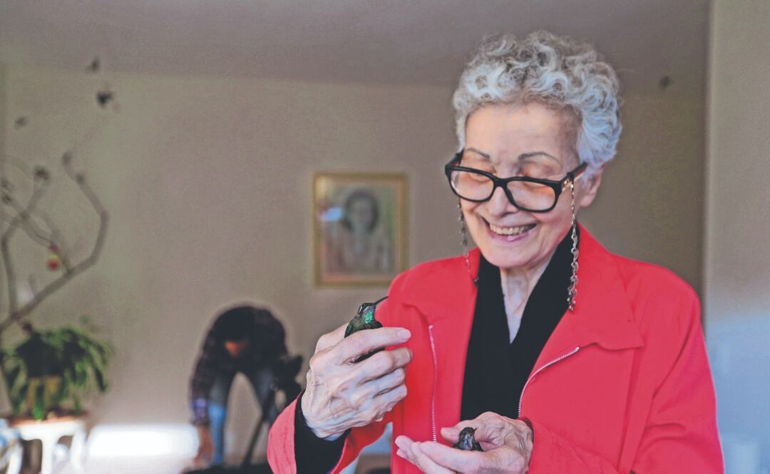 Mujer salva vidas en su hospital especial para... ¡colibríes!, en CDMX 