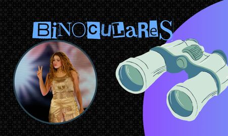 ¿Privilegio o abuso? Legisladores disfrutan récord de Shakira desde terrazas públicas