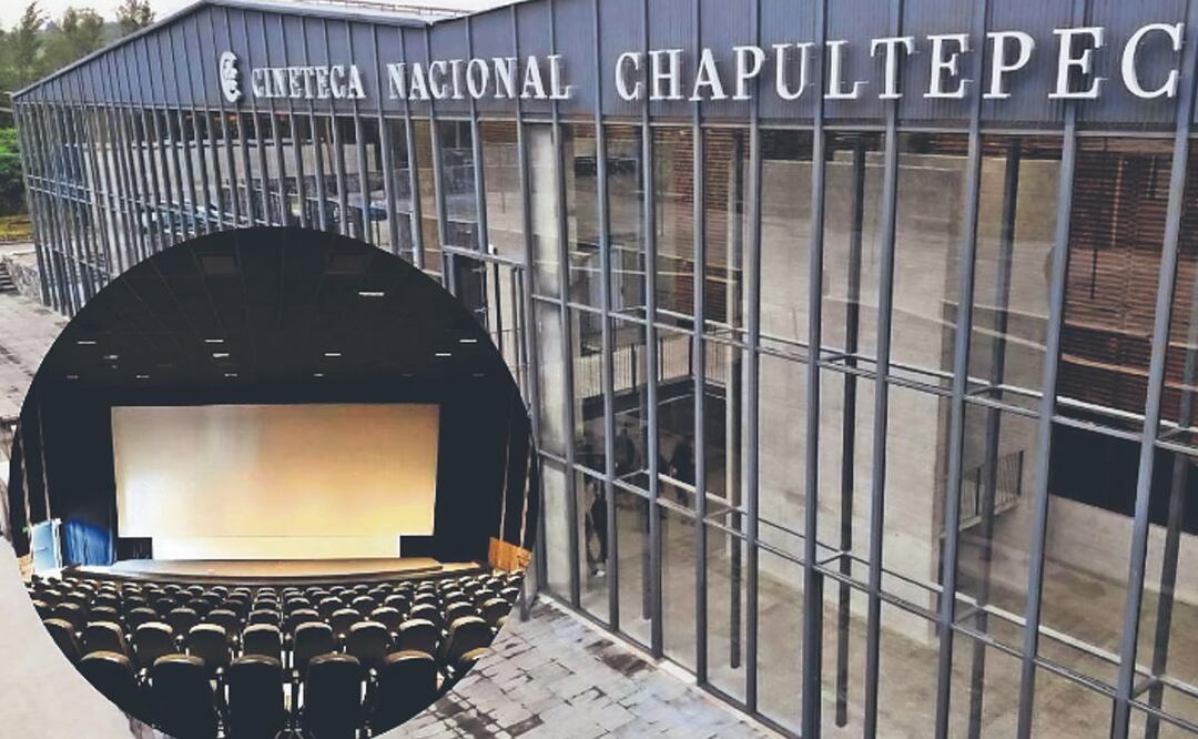 ¡CINE GRATIS! La Cineteca Nacional Chapultepec tiene funciones al aire libre sin costo