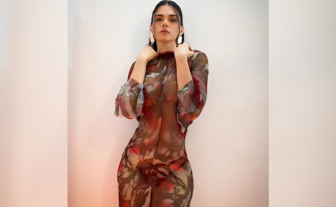 Livia Brito exhibe presunto maltrato animal en Coyoacán y exige rescate urgente. Foto: (Redes Sociales)