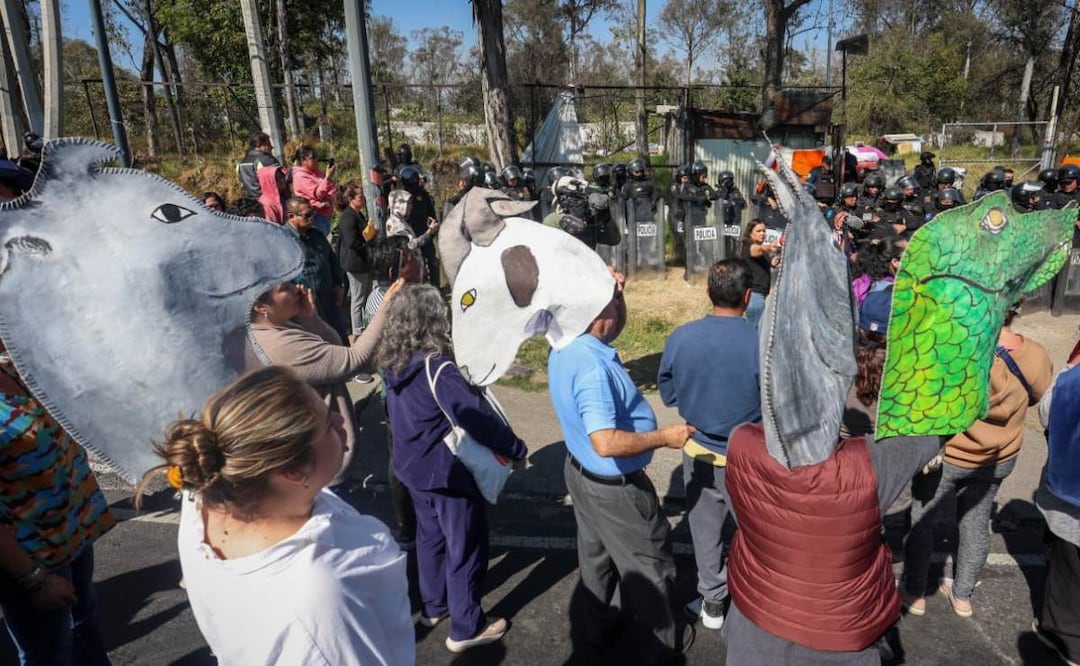 Foto: Luis Camacho (Policía de CDMX interviene Refugio Franciscano: Se llevan a 936 perros y gatos tras disputa legal)