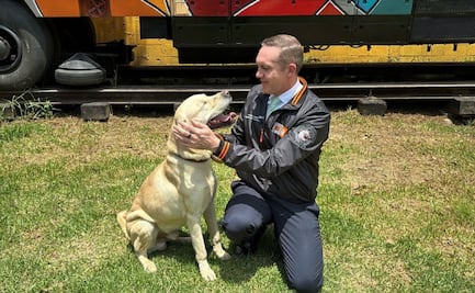 Metro busca hogar para 43 lomitos rescatados en su Centro de Transferencia Canina