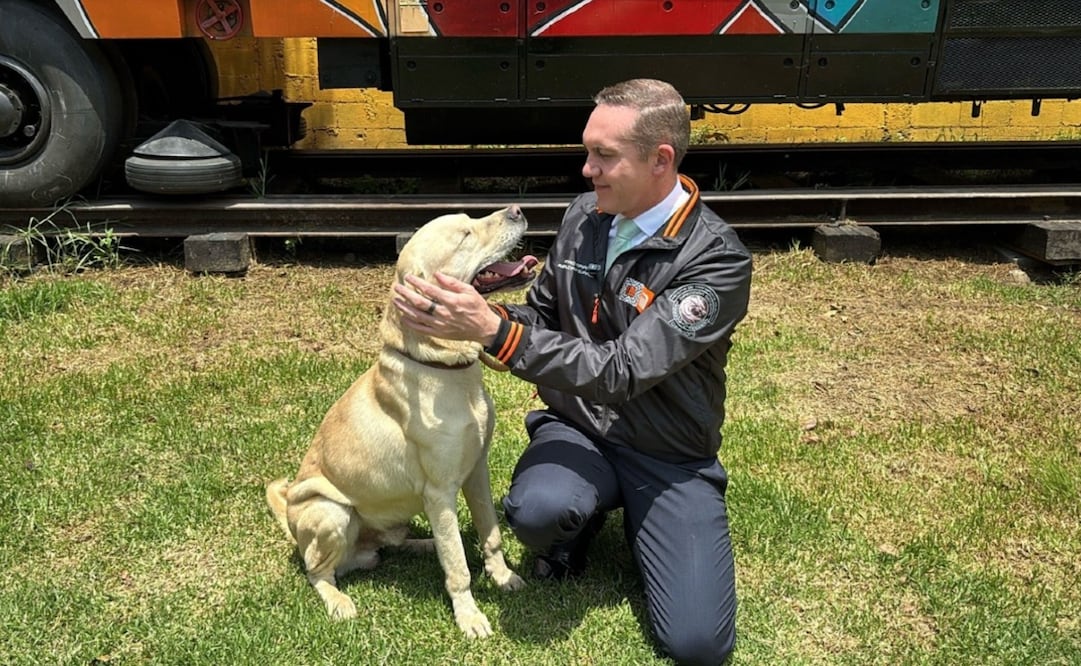 Metro busca hogar para 43 lomitos rescatados en su Centro de Transferencia Canina
Foto: Metro