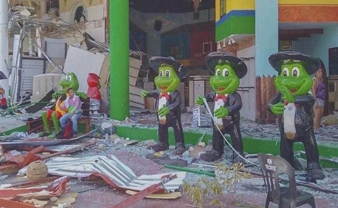 ¿Se resolvió el robo de las ranitas del Sr. Frogs de Acapulco? Esto se sabe