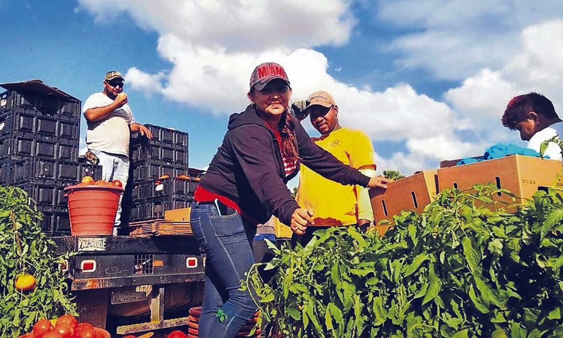 Trump pone en riesgo mano de obra del campo, con deportaciones masivas