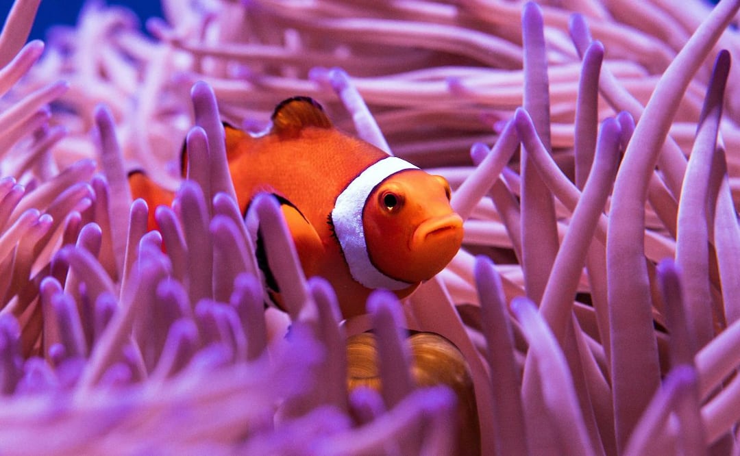 Foto: Unsplash (Día de la Tierra: 10 razones fascinantes para proteger nuestro hogar)