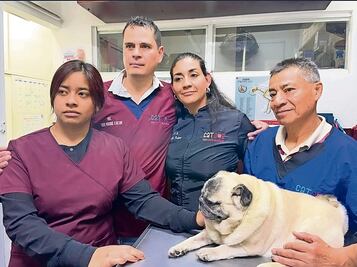 Veterinaria en CDMX denuncia persecución tras muerte accidental de perrita
