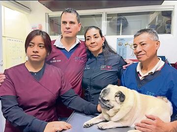 Veterinaria en CDMX denuncia persecución tras muerte accidental de perrita