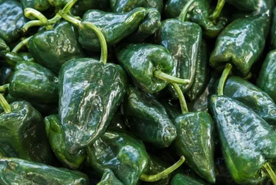 ¿Qué frutas y verduras conviene comprar en agosto? Esta es la lista de temporada. Foto: (Gob MX)