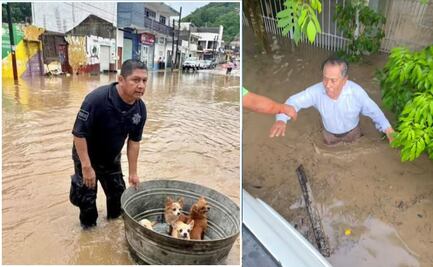 Video: Joven héroe rescata abuelitos y mascotas tras las inundaciones en Poza Rica