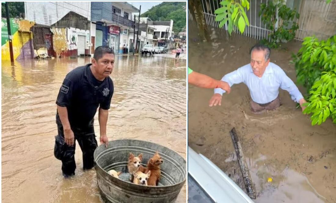 Video: Joven héroe rescata abuelitos y mascotas tras las inundaciones en Poza Rica
Imagen: TikTok