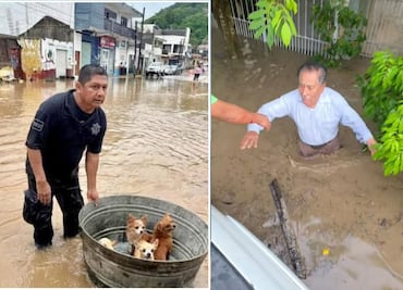 Video: Joven héroe rescata abuelitos y mascotas tras las inundaciones en Poza Rica