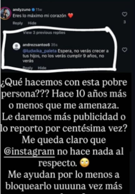 Ludwica Paleta (captura de pantalla)