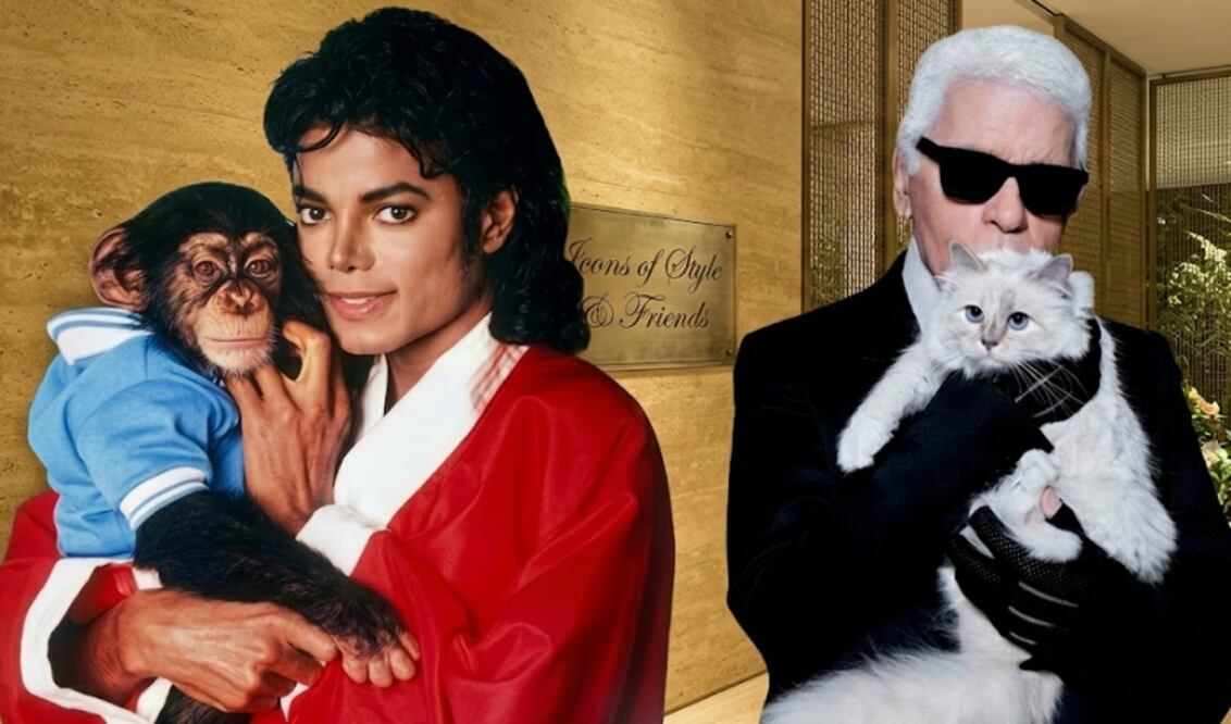Choupette, Gunther VI y Blackie: Las mascotas que heredaron fortunas increíbles (Foto: Creada con IA)